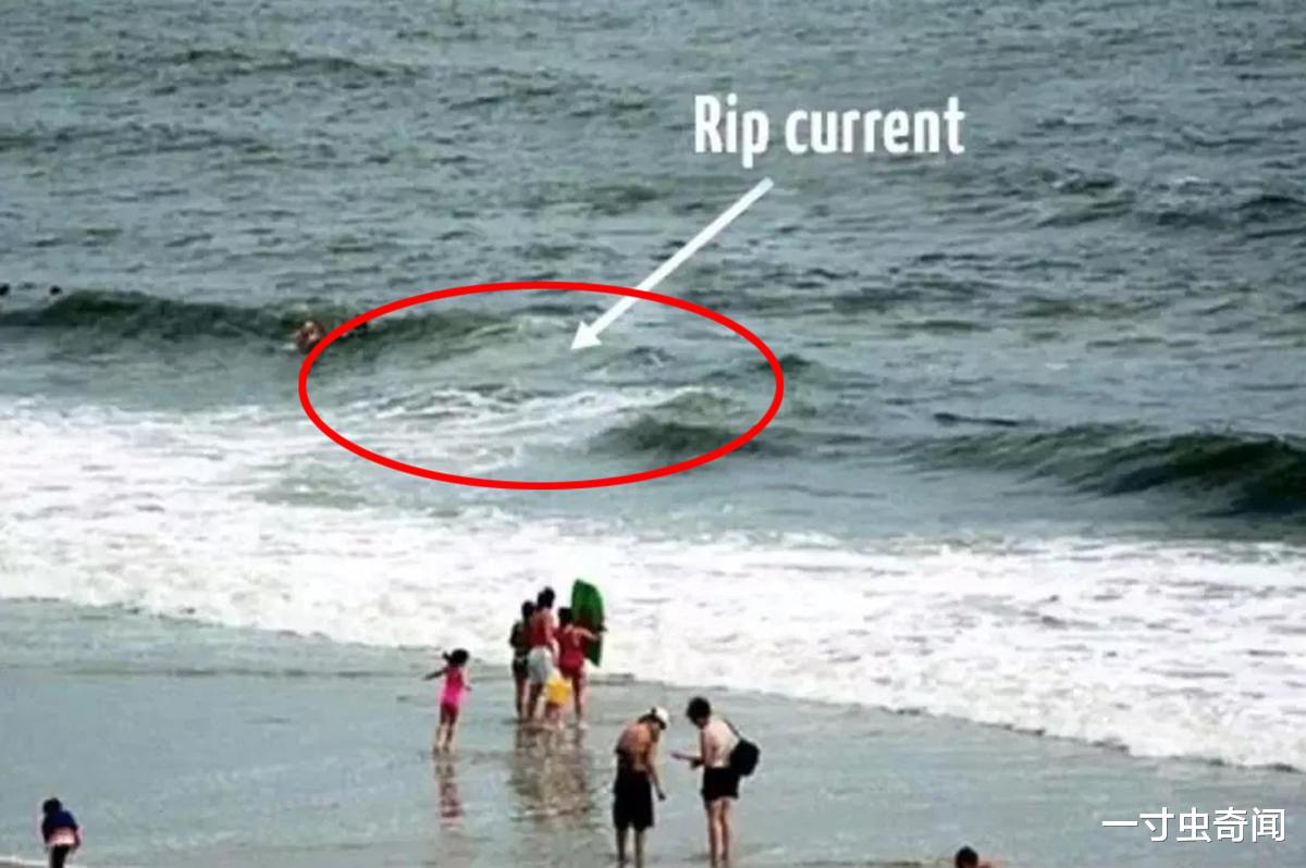 一寸虫奇闻|福建17人落水11人死亡,平静海面暗藏杀机?罪魁祸首或为离岸流