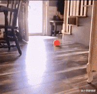 朱小燕聊情感|“你用的杯子,暴露了你的工作职位,真是真实啊! ”哈哈哈哈