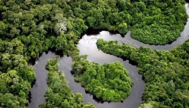 赵立坚 亚马逊丛林对地球有多重要?如果亚马逊丛林消失了后果会怎样?