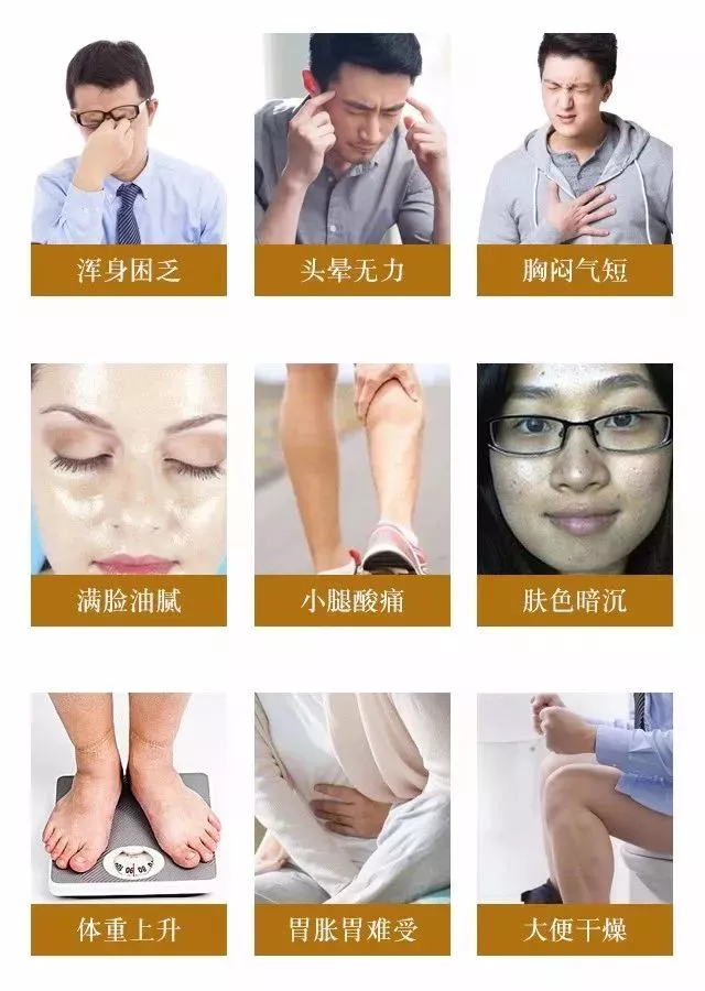 洗髓功志诚|搞懂三焦湿气，气色好了，身体轻了
