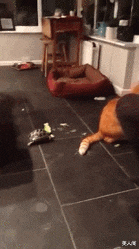 美人閣 我們工地都成了快樂的游戲場，哈哈哈