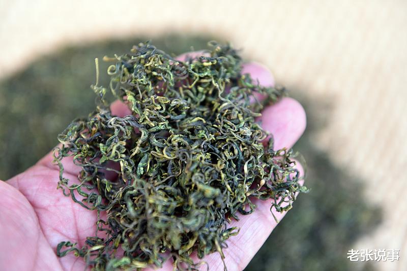 老张说事|一杯香茗助你消除炎热酷暑 你知道夏天饮茶泡茶的方法吗