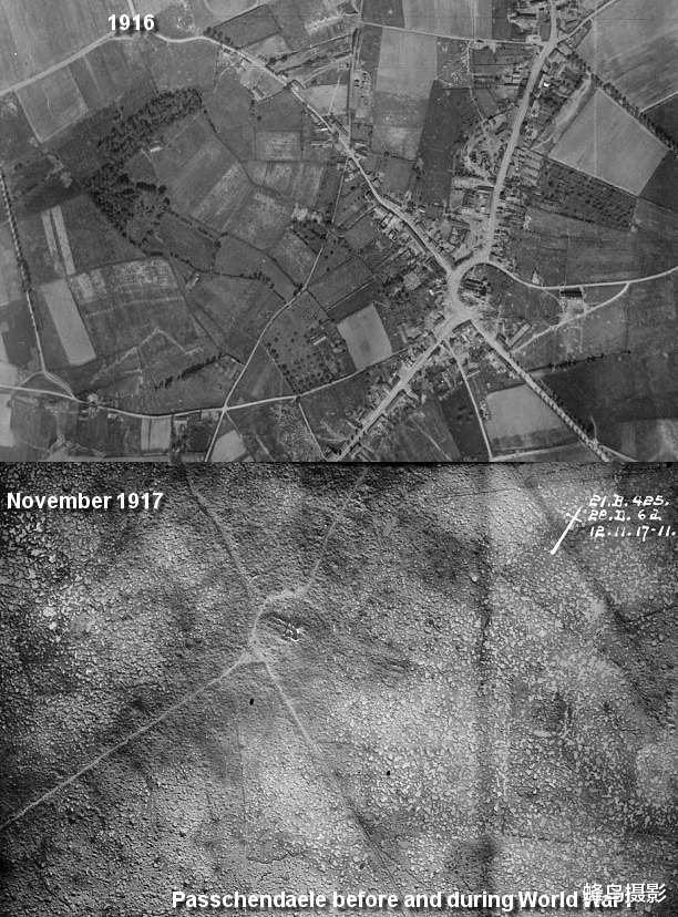 科学家 35张活久未见的照片，两只袋鼠打架太像人，一只勒住另一只大脖子