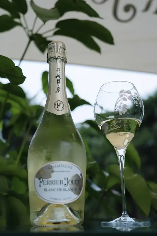 时尚生活派|繁花盛夏,带上香槟叫上闺蜜,一起投向美丽时光的户外浪潮