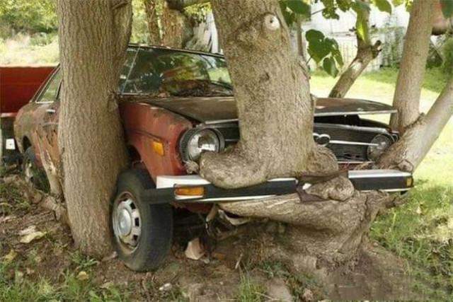 汽车 26个被人类遗忘的角落，渐渐遭遇了大自然的反噬