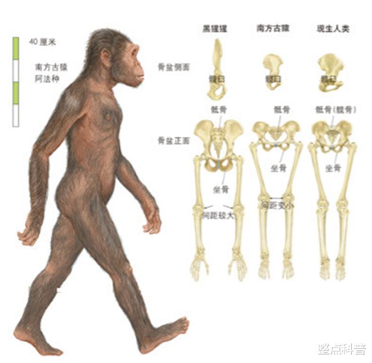 太空 人都是女性生的，在人类出现前，世界上第一个女性是从哪里来的？