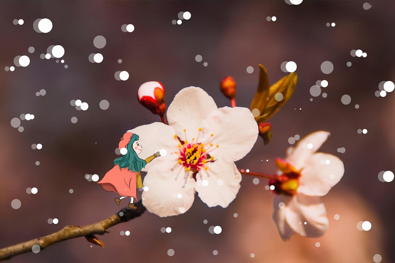 刘亦菲|那些平时话少的人，才是真正的狠角色，他们比一般人更厉害