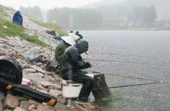 |降雨前后这几种情况，与其枯坐守口，不如赶紧收杆走人