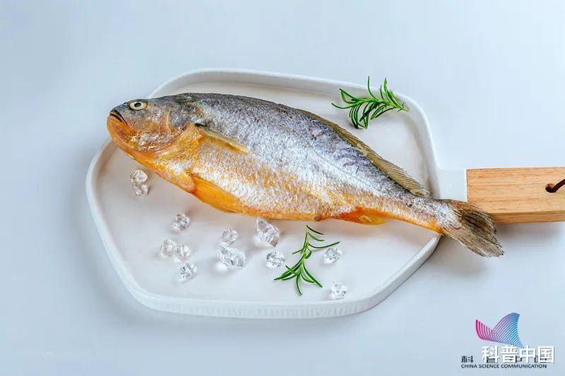 脑卒中|每周吃鱼达到这个量,脑卒中风险下降14%!越吃越聪明!注意,这几种鱼被点名…