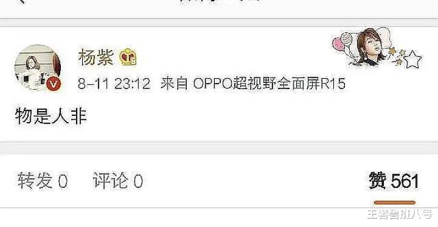 杨紫|比起心疼毛晓彤，我更心疼被张小姐撩男朋友，却不敢吭声的杨紫