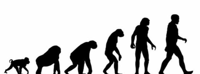 猩猩 人类这么弱，连猩猩都打不过，人类祖先是怎么活下来的？