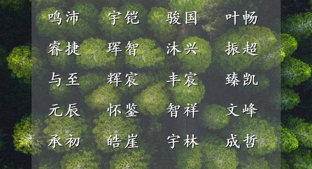 子墨起名|注定多金的男子名字,富甲天下,丰衣足食