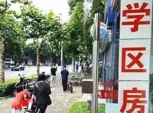 昆明|学校大区划片,投资者怎么选