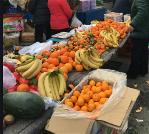  江苏如东县一桩因女同性恋招来的杀夫案