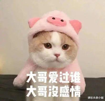 李振宁|真甜！悄悄住一起，就差官宣了！