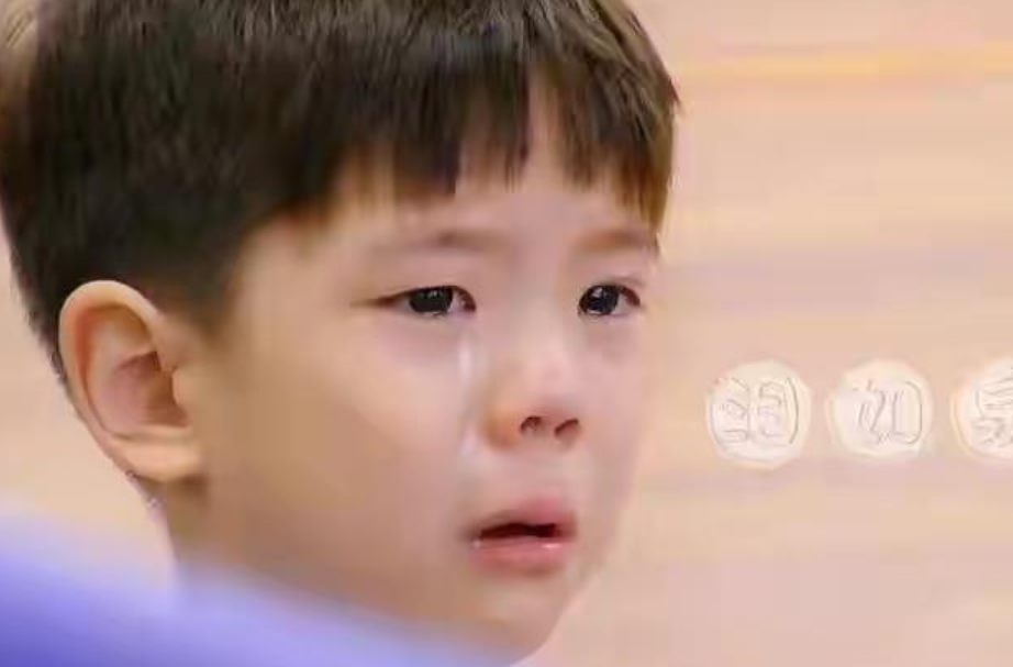 急诊室老苗|孩子在学校被欺负，明星宝妈怎么办？霍思燕的做法堪称教科书