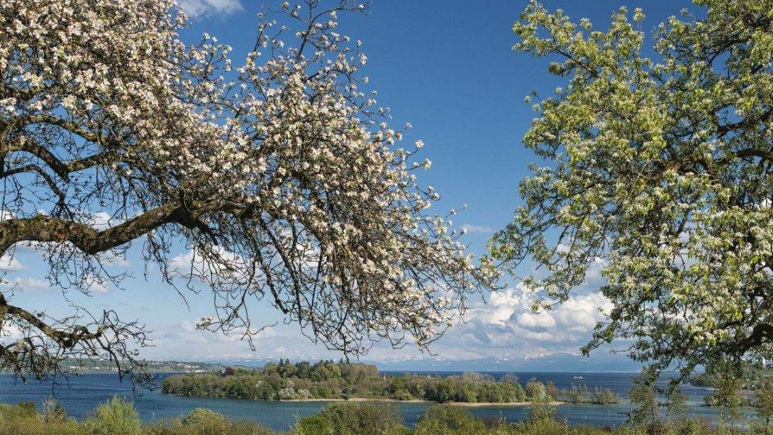 |倒春寒如何钓鱼？心里揣好以下3招，这边手打着颤那边鱼上着钩