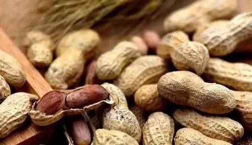 健康缘来很简单 常吃花生好处多，但4类人不能吃