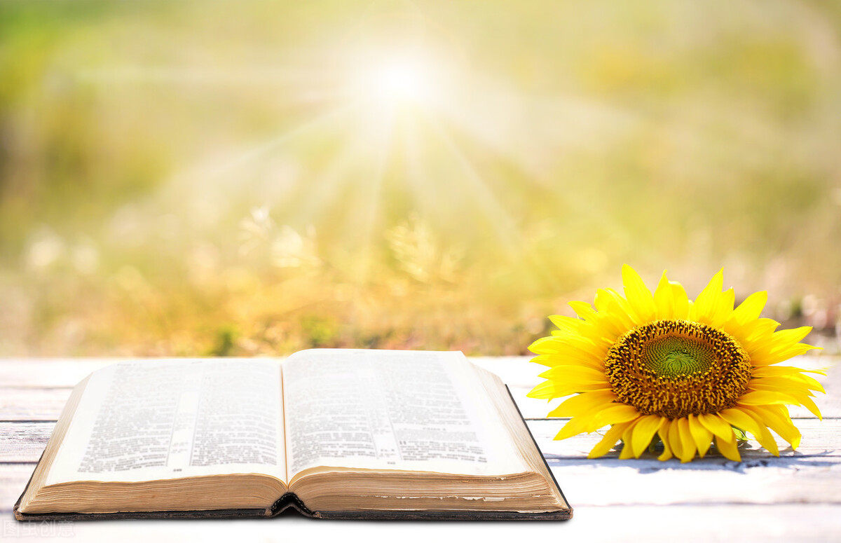 我从前朝来 心有多静,福有多深