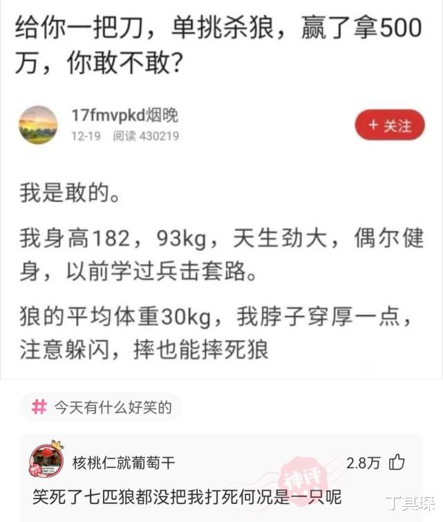 丁其琛|【沙雕问题】：给你一把刀，单挑杀狼，赢了拿500万，你敢不敢？