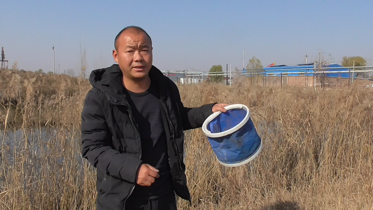 |这些“特殊”的窝料，听说钓鱼有奇效，尤其后面两种我不能接受