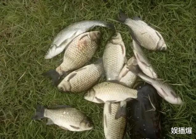 二月二|龙抬头理发钓鱼 吃什么？