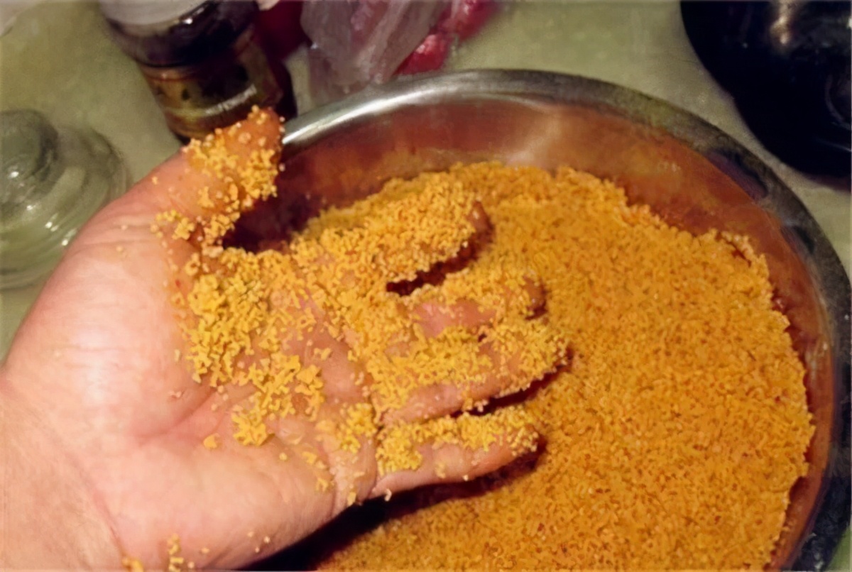 |常见的这几种窝料，哪一种在冬钓中效果更好