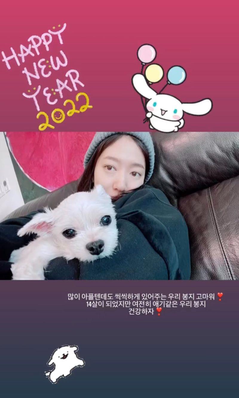 朴信惠|朴信惠崔泰俊婚礼请帖曝光！准妈妈新年自拍照超温柔！