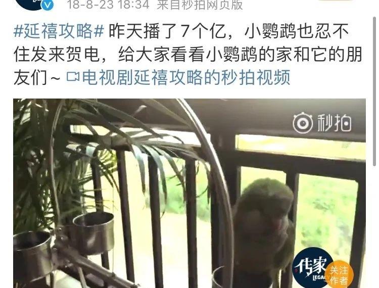 电影|因为一场戏没了一个动物！这5部戏被打差评、遭吐槽，真是不冤