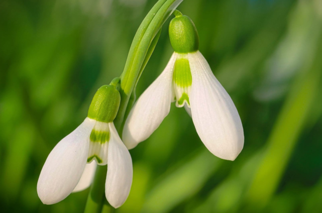 属马|惹不起!2022年迎喜接财,抽中上签,如鱼得水,美梦成真的生肖