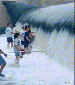 小秦星座|搞笑GIF：本以为碰到了青铜，没想到...