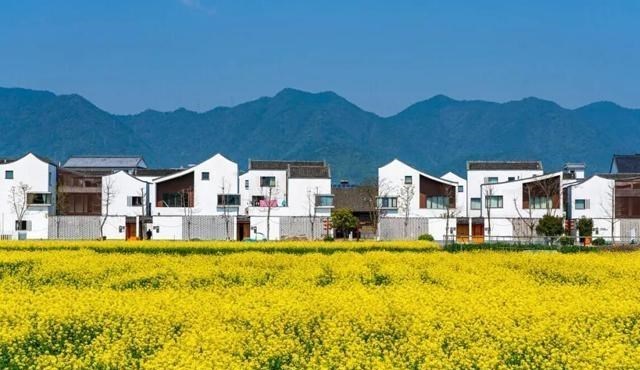 教教你家娃|农村人别错过,小投资大回报,这几个生意做好了买房买车不是梦