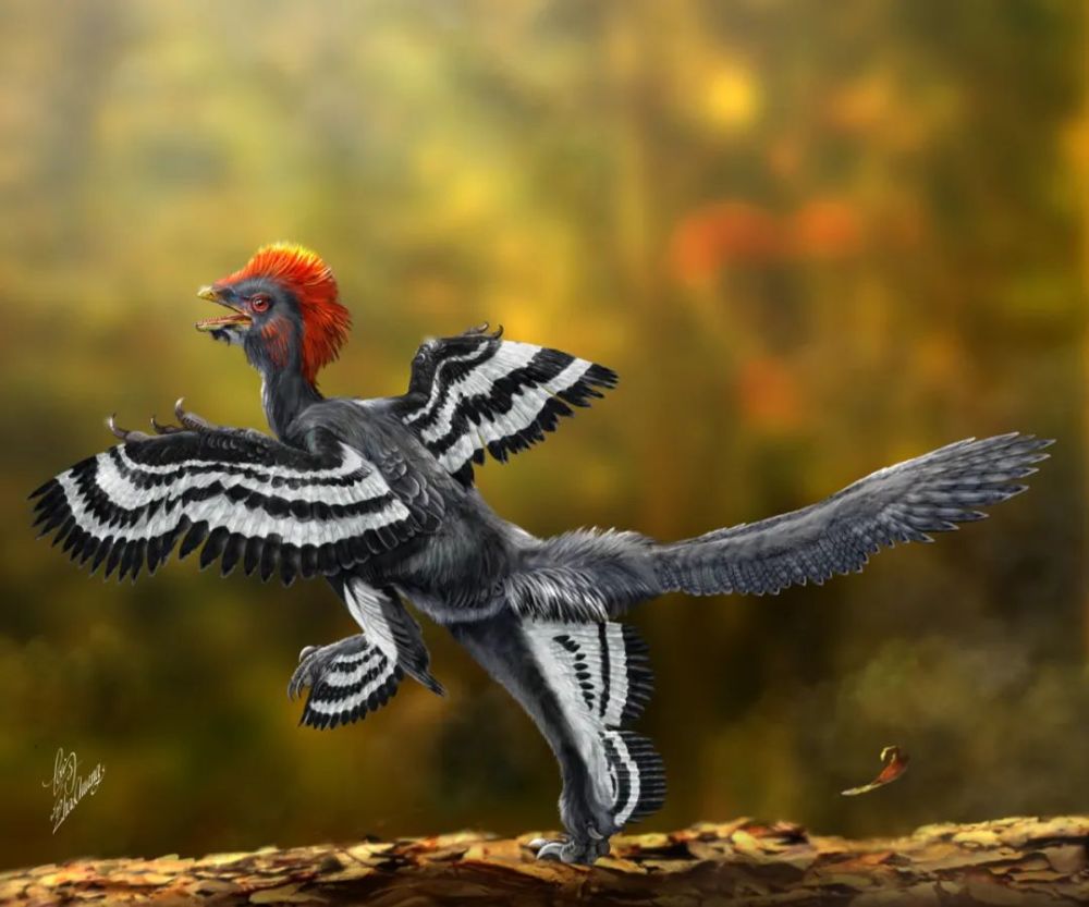 飞行器 人类怎么知道恐龙长啥样？难道只是艺术想象？