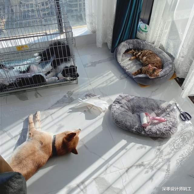 深零设计师姚工|演员聂远家到底有多有钱？住北京独栋3层别墅，吃饭用的都是转桌