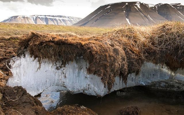 基因 北极“深坑”越来越大，释放大量远古气体，专家提醒世人要警惕