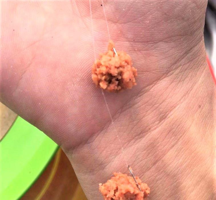 饵料|冬季野钓深水，这样调钓和用饵，渔获好、中鱼率高