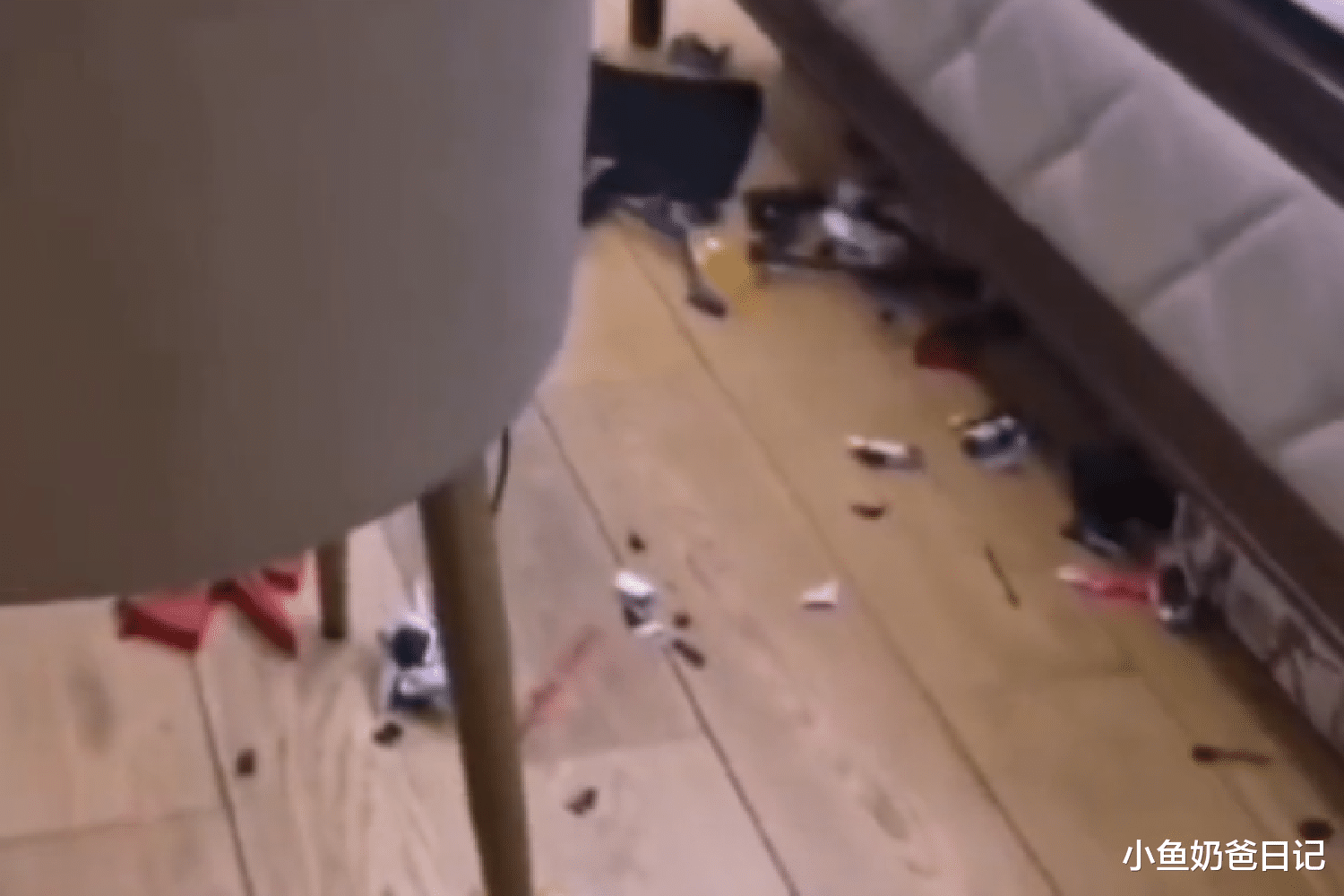 小鱼奶爸日记|因儿子顶嘴父亲砸烂模型,儿子失声痛哭,发脾气是最无能的教育