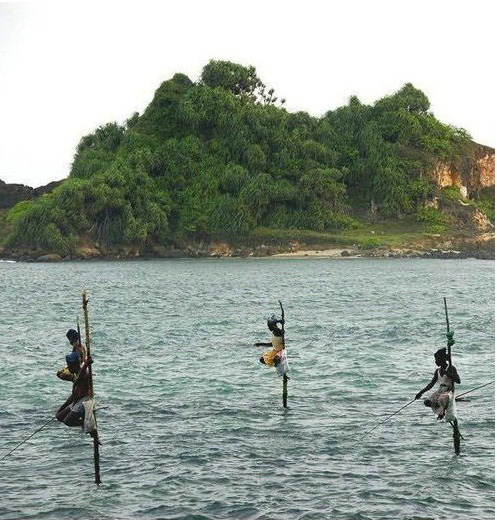 五菱|中国最好的女子双人跳水搭档是谁？网友：当然是婆婆和媳妇了、她们经常同时掉进水里