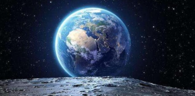 蚂蚁感知不到球是圆的,它是二维动物吗,蚂蚁看到的人类是怎样的