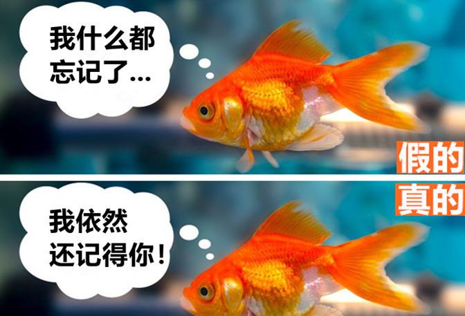 尽管很离谱,但却依然让不少人都相信的8个虚假谎言
