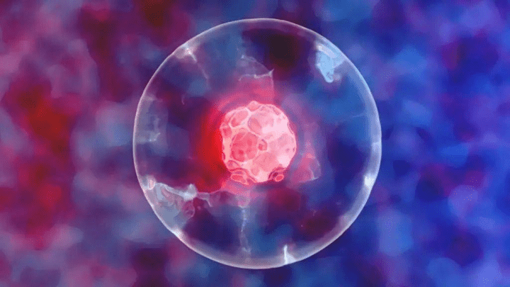  中科西部干细胞研究院：干细胞如何拯救你的生命，甚至延长它