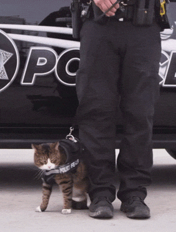 |来说说，哪些职业接触人性阴暗面较多？原来这么多呀