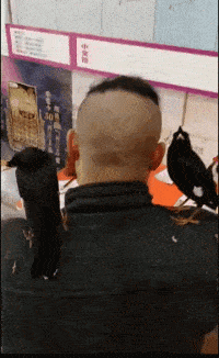 |“下班回家遇到这种情况,请问是先打媳妇还是先打娃?”哈哈哈