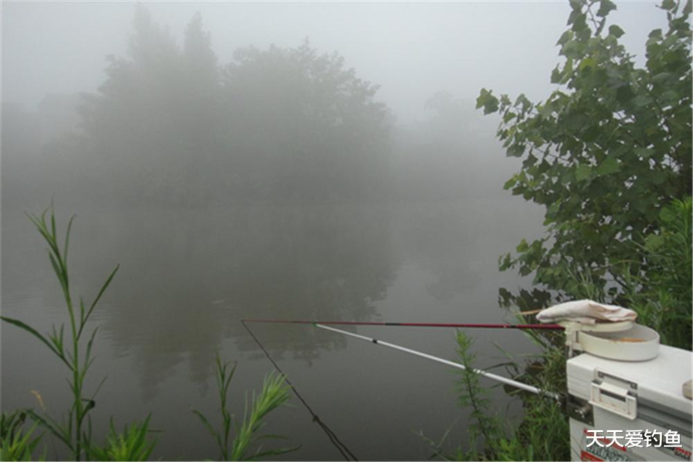 |春季钓浅滩之天时地利：解决这些难题，春季钓鱼很少走空！