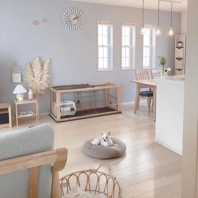 家居师太Monica|日本一家三口，住58㎡小家不拥挤，全屋温暖治愈，越住越顺心！