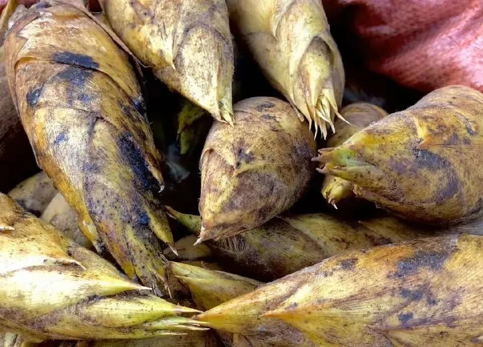 冬至以后这4种菜大家不要再买,营养低 口感差,菜农也不吃