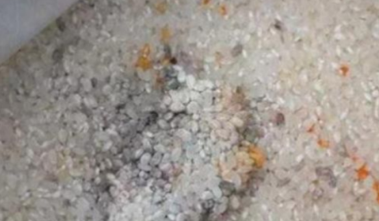 天天听健康 肝癌“上身”前，身体往往有这“4异常”！肝科主任痛心：很遗憾没人重视