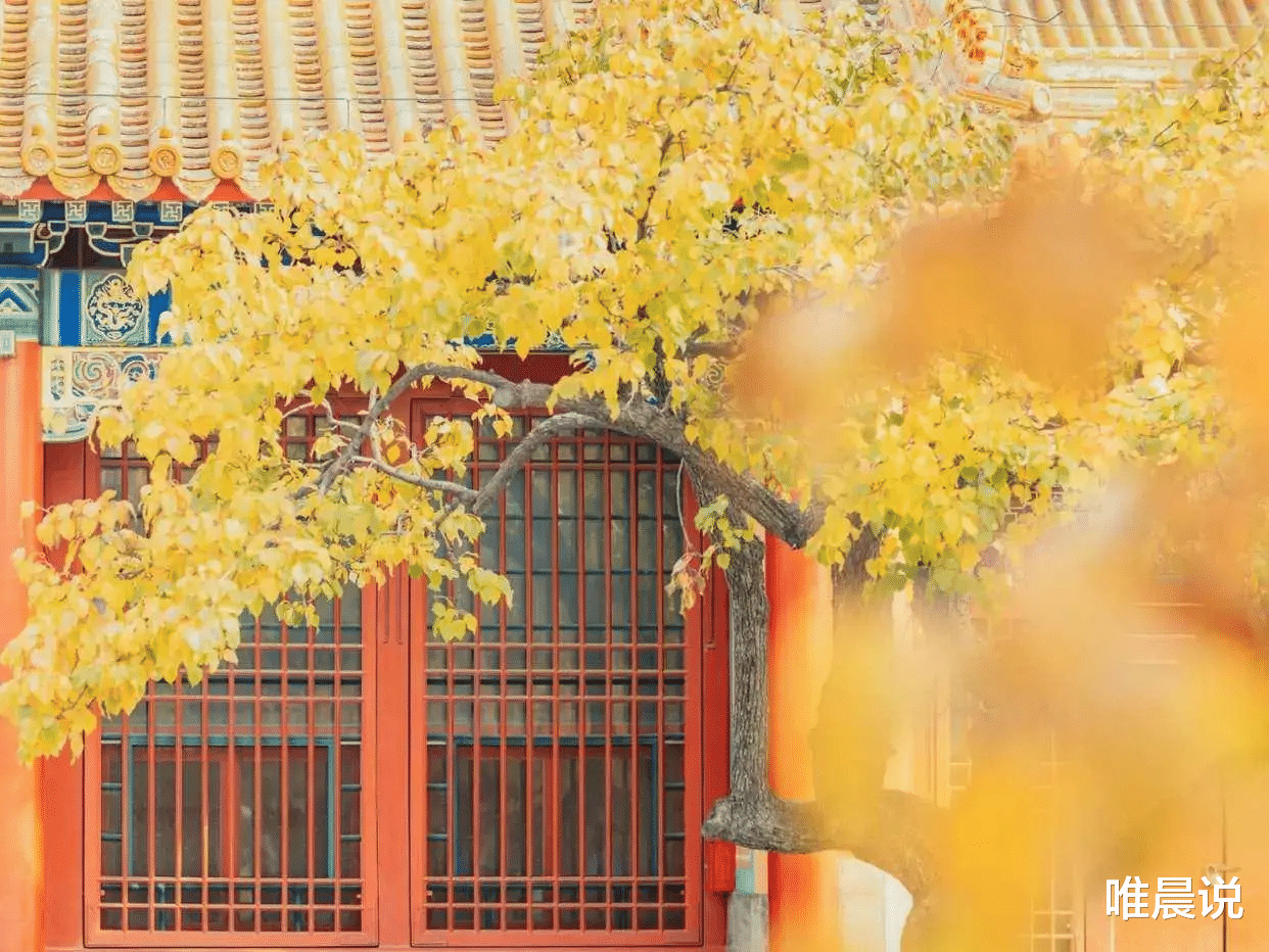 唯晨说|如果有一天,你被身边人看不起,请记住这5句话