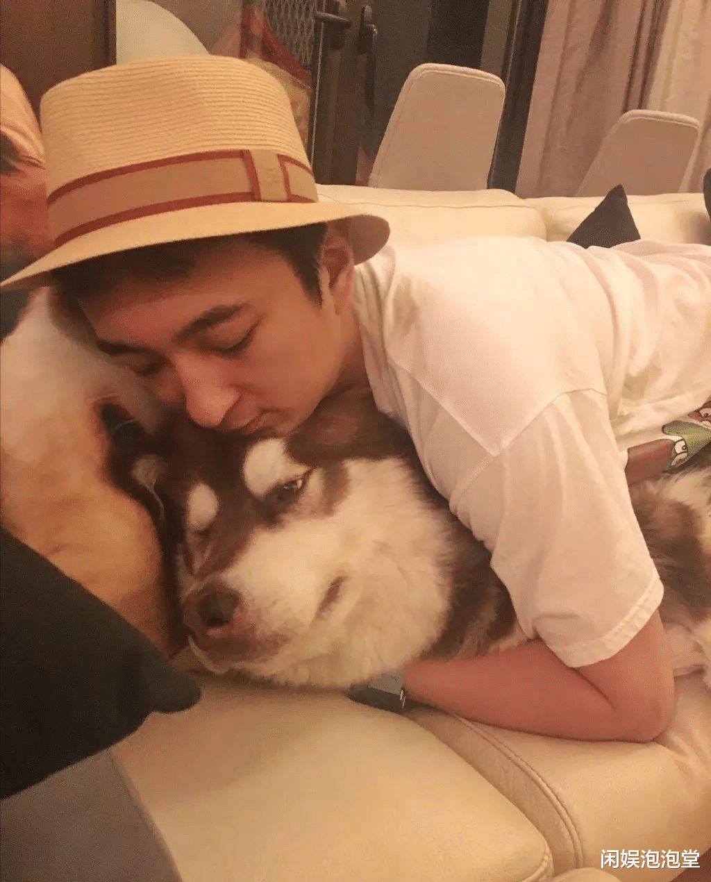 赵子易|“狗保姆”熬走多任女友,人仗狗势的赵子易,和王思聪是啥关系?