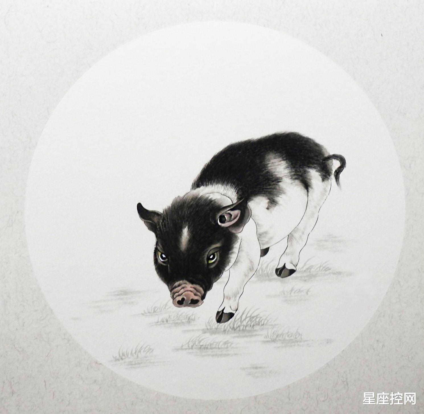 星座控网 四个生肖的人，从不认输，身边对手越多，他们越容易出头